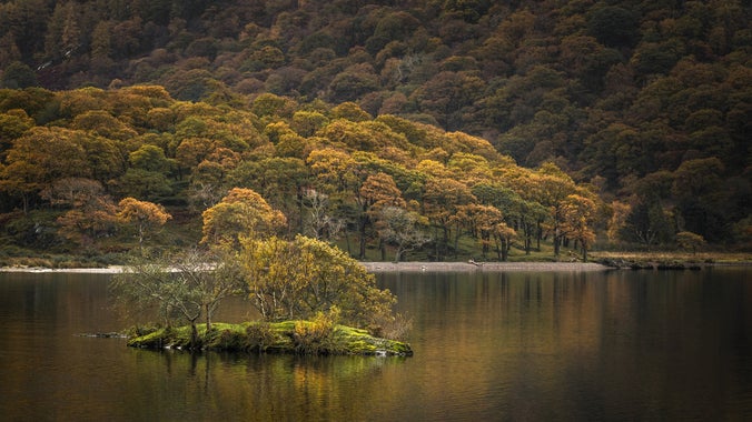 Autumn colours reflecting on Crummock Water looking out to Whitehouse Island